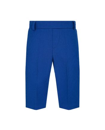 Boy Blue Solid Print Trouser