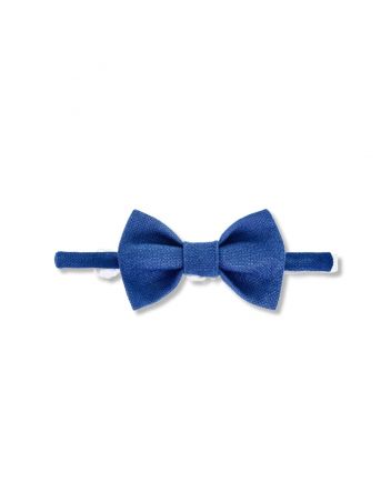 Bow -tie , cornflower blue