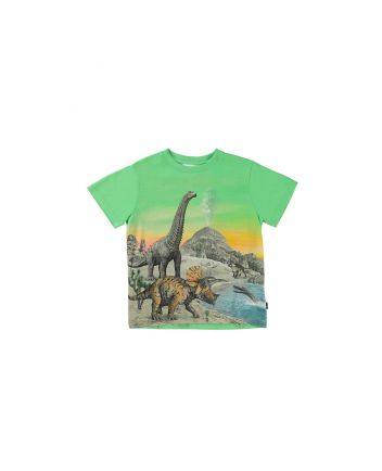 Boys Green Cotton Dinosaur T-Shirt