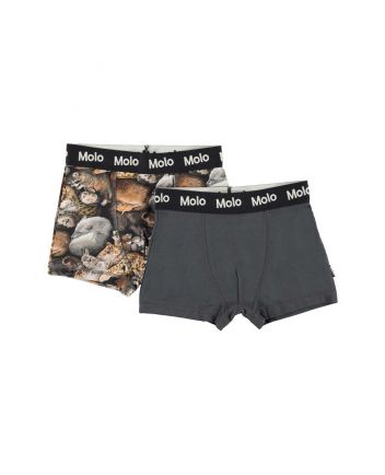 Boys Cotton Boxers (2 Pack)