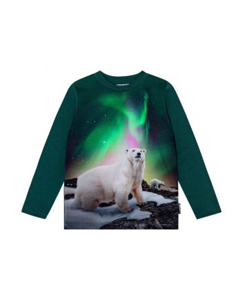 Boys Dark Green Bear-Print Cotton T-Shirt