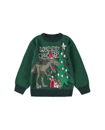Boys Green Christmas & Dinosaur Printed Sweatshirt