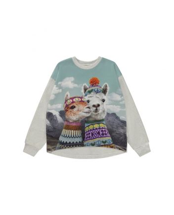 Girls Grey Llama Print Full Sleeves T-Shirt