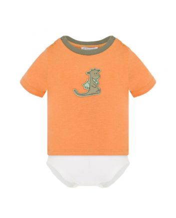 Boy Orange Printed Dinosaur Rompers