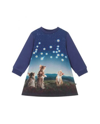 Baby Girls Blue Kitten Organic Cotton Dress