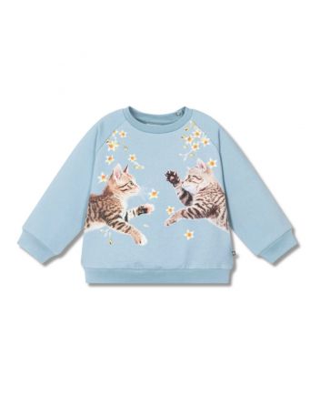 Baby Girls Blue Kitten Cotton Sweatshirt