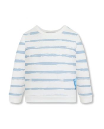 Boy Multi Printed Stripped Sweatshirts
