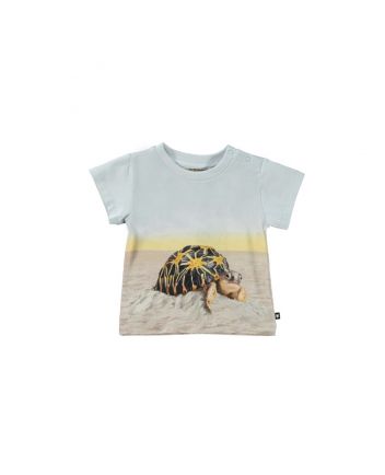 Blue & Beige Cotton Turtle T-Shirt