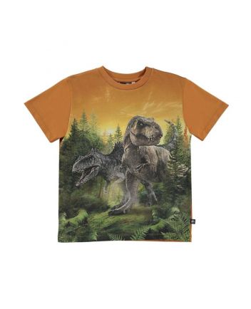 Graphic Print T-Shirt