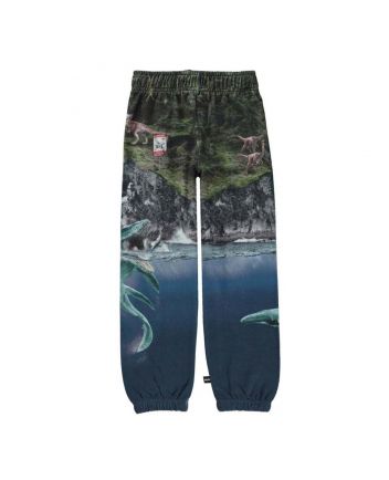 Graphic Print Tracksuit Bottoms