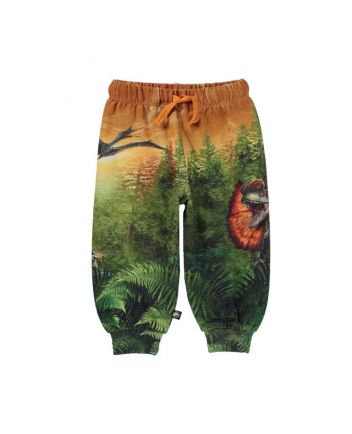 Dinosaur Print Trackpants
