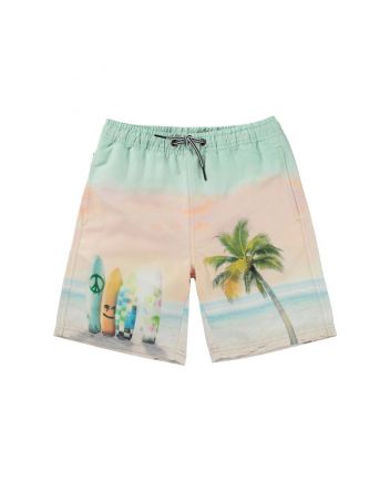 Boys Beach With Surfboards Print Swim Shorts