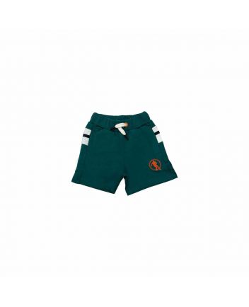 Boys Green Cotton Shorts