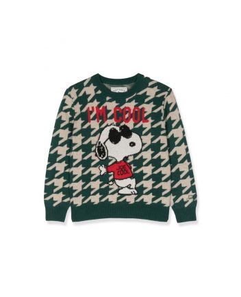 Boys Green Snoopy Rock Sweater