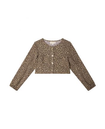 Leopard Crop Full Sleeve Top