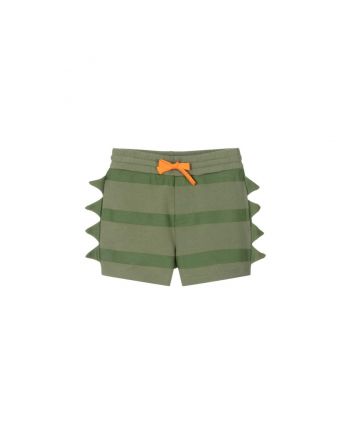 Boys Green Striped Cotton Shorts